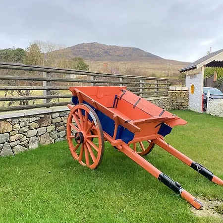 Nellie's Carlingford