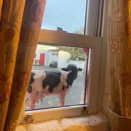 Feriehus Nellie's Carlingford