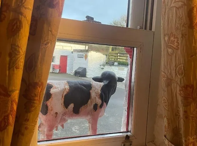 בית נופש Nellie's קרלינגפורד